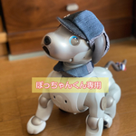 ぼっちゃんくん専用