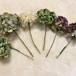 ドライフラワー紫陽花
