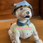 マルちゃん専用