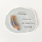 アオウミウシのブローチ