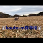 🐰kouta-m様専用🐰