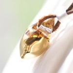 GOLDの結晶：波動玉®4（引き寄せ）【現品一点物】