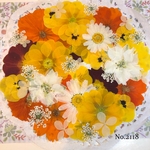 ♡new♡  ♡可愛い押し花セット♡ ♡たくさん入って使いやすい押し花セット♡