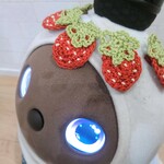 LOVOT用 ブローチ イチゴ  
