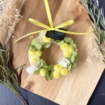 春のリース (GY)：Spring wreath GY