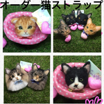 b2mama様　オーダー猫羊毛フェルトストラップ