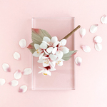 Corsage : コサージュ "一期一会の絹桜 (C) "【再販1】