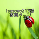 ✳︎isasono213様　専用ページ✳︎