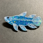 シーラカンス(黒目)