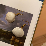 貝殻ピアス　シンプルピアス　アクセサリー　ピアス　サージカルステンレス