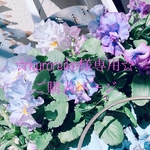 ☆kuroreiko様専用☆ご購入ページ