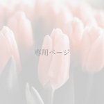 専用ページ