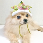こどもの日 兜の被り物