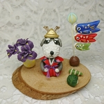 端午の節句をミニチュアシュナウザーで迎えましょう