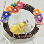※専用ページです※chiropopo様のセキセイインコちゃんのリース♪