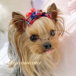 【 犬用❣️バレッタ 】 おしゃれ　トップノットペット　子供　ヘアアクセサリー　リボン　バレッタ　♡AquaMana♡