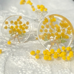 今年収穫✨透明感の美しい星の雫&可愛いミモザのドライフラワー花束/リースのサイズが選べるポニーフック