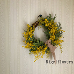 🌱再販🌱春満載🌼*･銀葉ミモザのnaturalリース✿.*･三日月デザイン🌛∗︎*ﾟ プチギフト ドライフラワー ドライリース お誕生日 プレゼント 母の日 植物インテリア フラワーギフト 壁掛け