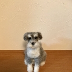 ミニチュアシュナウザー