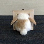 〜はみ出ちゃってるうさぎさん〜 うさぎ 羊毛フェルト うさけつ 後ろ姿 置物 壁飾り フレーム 壁掛け ロップイヤー ミニうさぎ ブロークンオレンジ