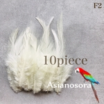 入荷【F2アイボリー】高品質　羽根 10枚 フェザー　ピアス　アクセサリー パーツ　羽　素材　鳥