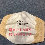 再販★送料無料★不織布マスクカバー☆シルク１枚仕立て