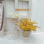 自転車のお花屋さん　〜ミモザVer.