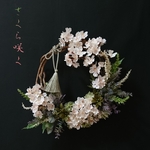 さくら咲く＊春リース36×36