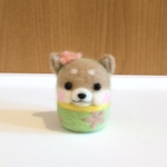 柴犬だるまの春の装い♪(赤柴)
