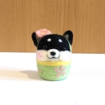 柴犬だるまの春の装い♪(黒柴)