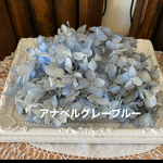 アナベルグレーブルーアジサイオリジナル加工小分け❣️ハンドメイド花材プリザーブドフラワー