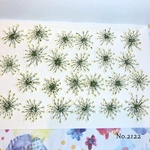 ♡new♡作家様必見♡ ♡少し大きめレースフラワー 押し花♡