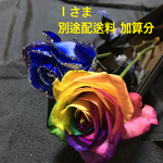 【Ｉさま】別途配送料 加算分
