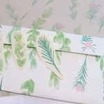 緑の草花　レターセット