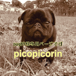 pug89様専用ページ
