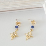 Twinkle　Star 