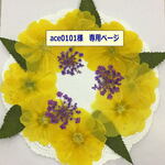 ace0101 様専用ページ