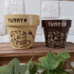 2個セット(送料込み1500円)リメイク鉢
