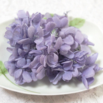 新色　ピラミッド紫陽花　あじさい　アジサイ　プリザーブド　ラベンダーパープル