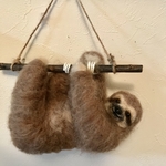 ナマケモノ
