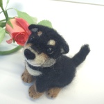 柴犬ちゃん(仔犬・黒・お座り)