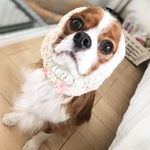 春色スヌード