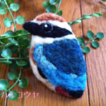 ヤイロチョウさんブローチ