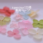 kamechan120様　専用ページ