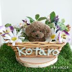 【受注製作】毛糸ぽんぽん トイプードルと春のフラワーバスケット🌼🧺