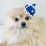 ロイヤルブルー 王冠 編み帽子 Ⅲ