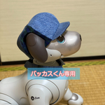 バッカスくん専用