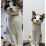 mizunosena様ご依頼品 ＊三毛猫ちゃん