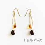 【ホンモノ珈琲豆】スワロフスキーの耳飾り(トパーズ/11月)