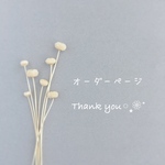 オーダーページ☆ リボンレイ ストラップ　チョコ×ミント　